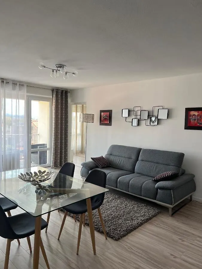 Roanne-Centre Appartement Apartment Roanne