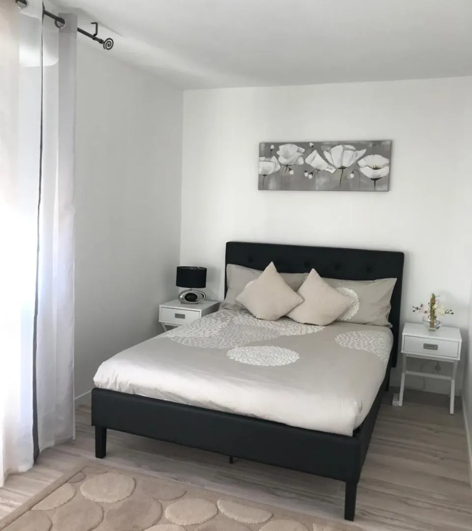 Roanne-Centre Appartement France