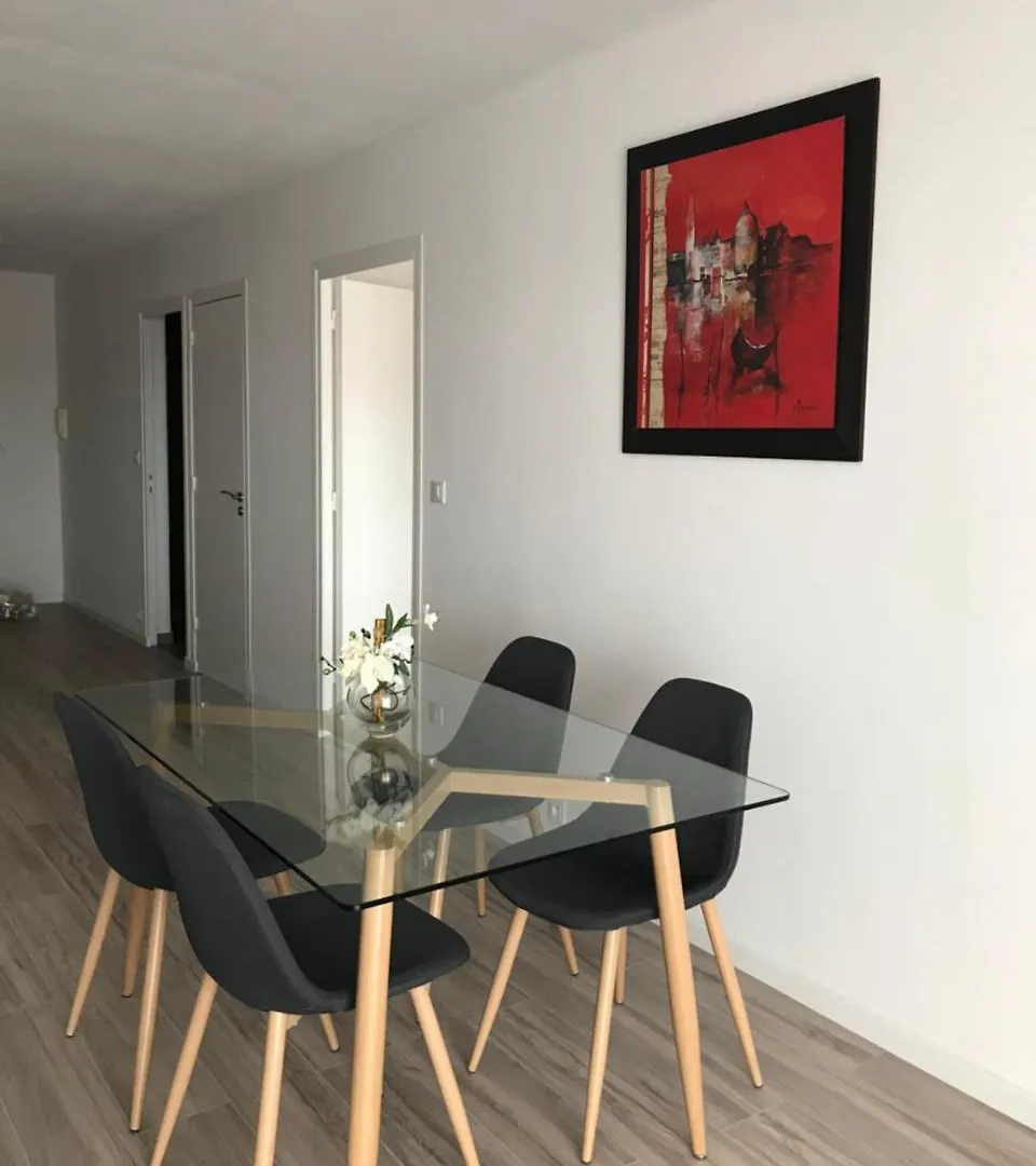 Roanne-Centre Appartement