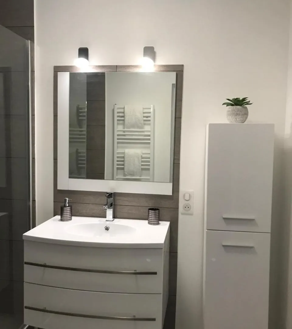 Roanne-Centre Appartement Apartment