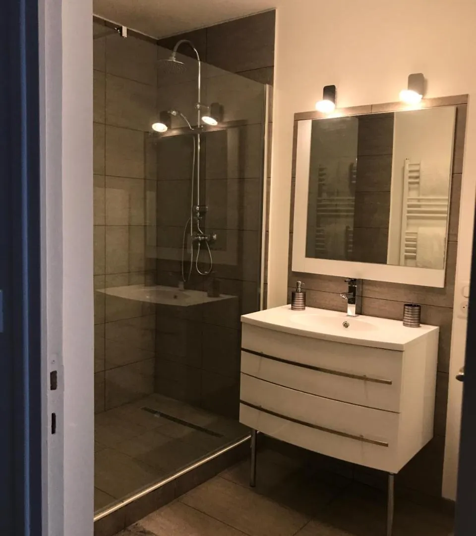 Roanne-Centre Appartement